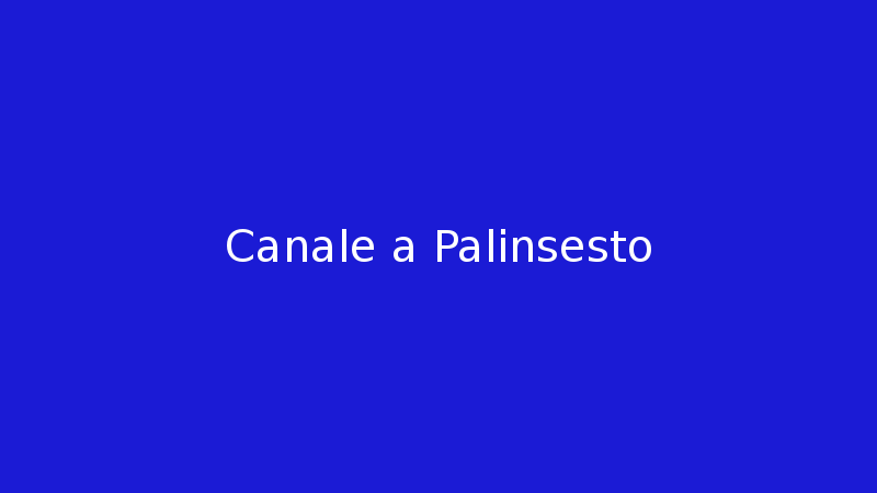 Canale a palinsesto